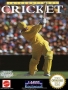 Nintendo  NES  -  International Cricket